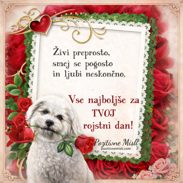 Vse najboljše za TVOJ rojstni dan ❤