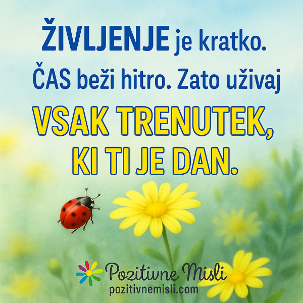 Življenje je kratko čas beži - MISLI O ŽIVLJENJU