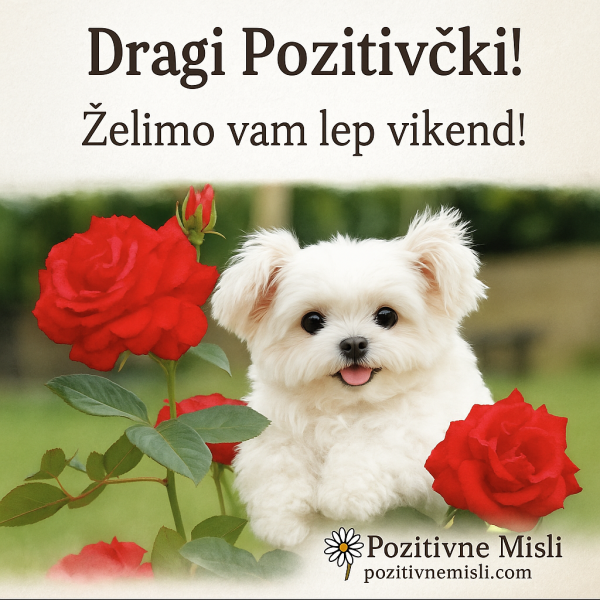Kuža in vrtnice rdeče za lep vikend!