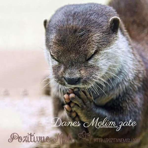 Molitev zate