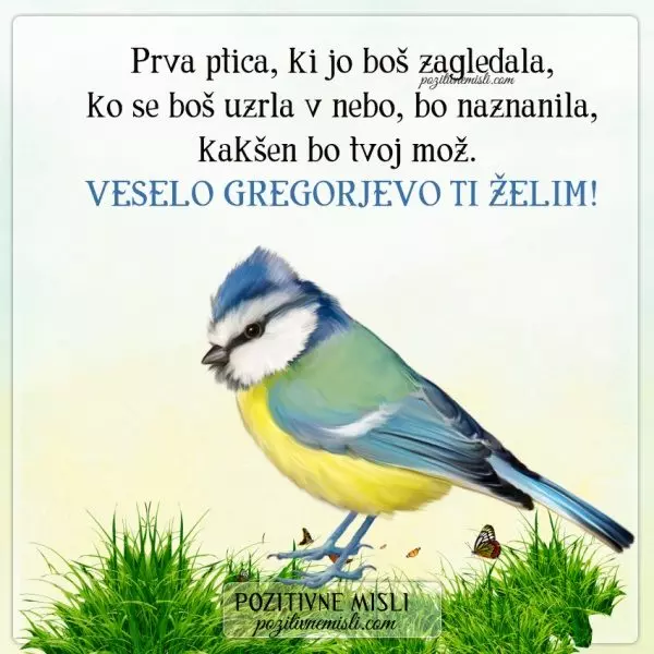 GREGORJEVO - Prva ptica ...