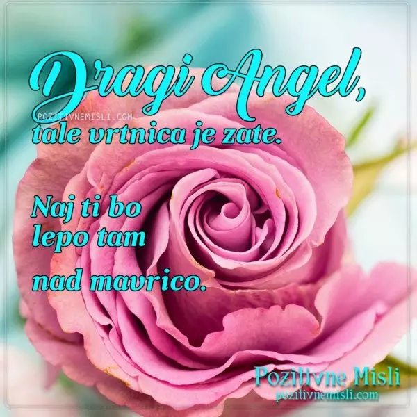 Dragi Angel ...