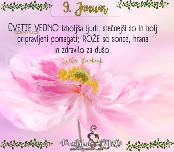 9. januar - 365 lepih misli za vsak dan - Cvetje vedno