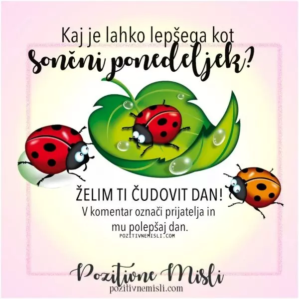 Sončen ponedeljek – želim ti čudovit dan! | Pozitivne Misli