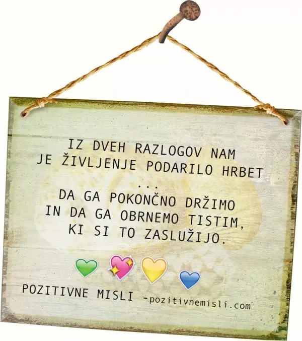 Iz dveh razlogov nam je življenje podarilo hrbet