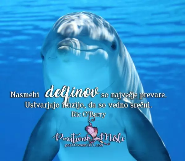 MISLI O DELFINIH - Nasmehi delfinov