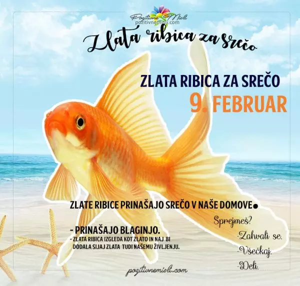 9. februar - 365 srečnih dni - zlata ribica za srečo