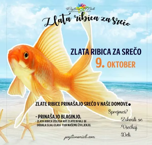 9. oktober - 365 srečnih dni - zlata ribica za srečo