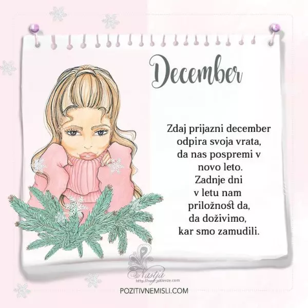 Pozitivčica - Letni koledar misli - december