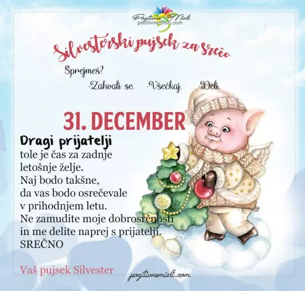 31. december - 365 srečnih dni - pujsek Silvester