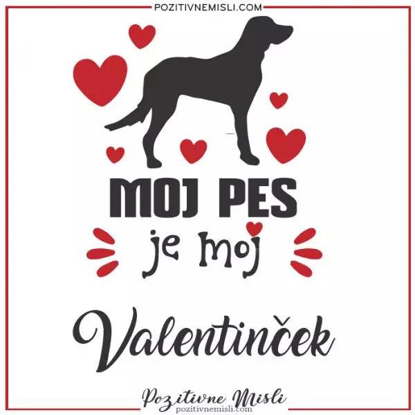 Valentinovo - Moj pes je moj valentinček