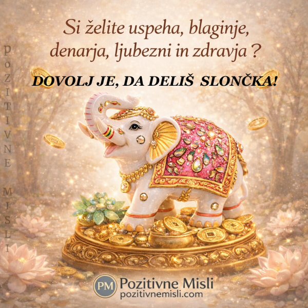 Si želite uspeha, blaginje,  denarja, ljubezni in zdravja 🐘