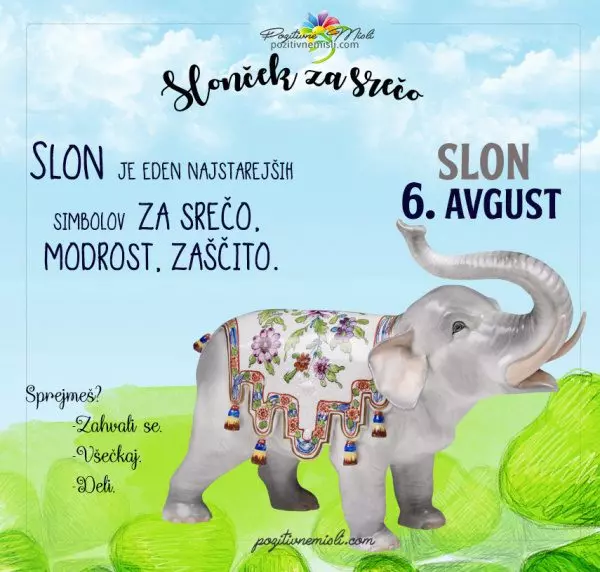 6. avgust - 365 srečnih dni - slon za srečo