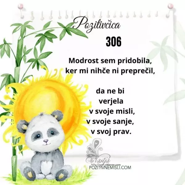 306. Pozitivčica - 2. november