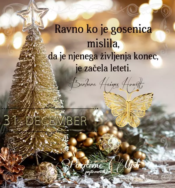 31. december - 365 misli koledar lepih misli o življenju - Ravno ko je gosenica