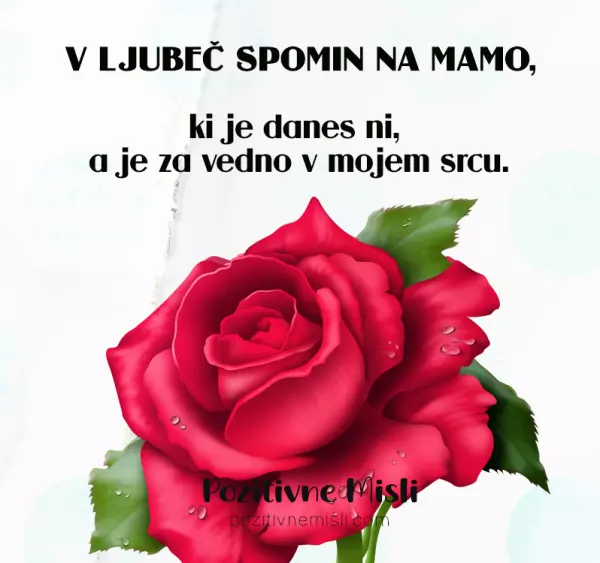 Mami v spomin - V ljubeč spomin