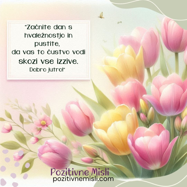 Misli za dobro jutro:  Začnite dan s hvaležnostjo