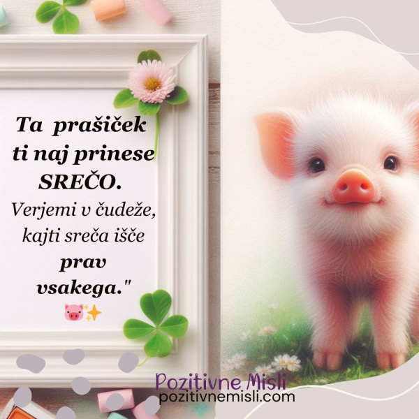 Ta prašiček ti naj prinese srečo – Pozitivne Misli 🐷✨