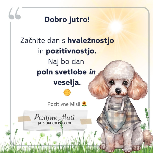 Dobro jutro! Začnite dan s hvaležnostjo