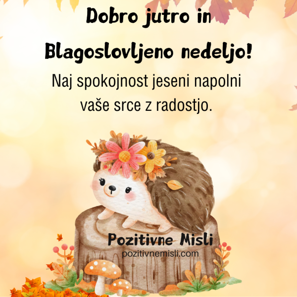 Nedelja Dobro jutro in Blagoslovljeno nedeljo