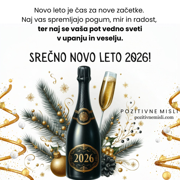 Srečno novo leto 2026:  voščilo