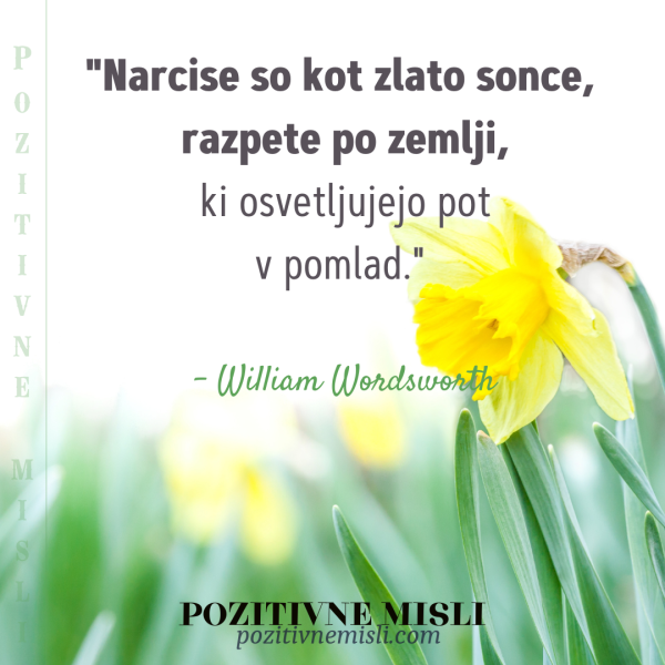 Citat o narcisah – William Wordsworth