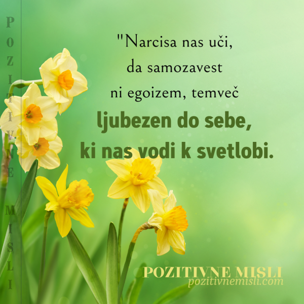 Misli o narcisi:  Narcisa nas uči