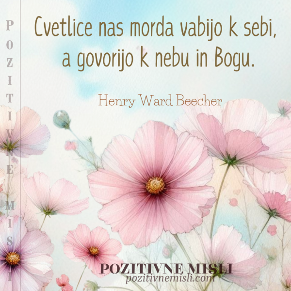 Citat o cvetlicah: Henry Ward Beecher