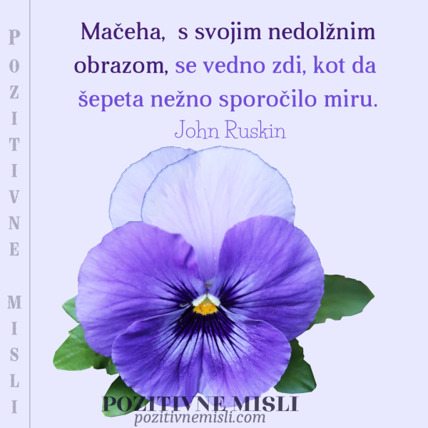 Citat o mačehah – John Ruskin