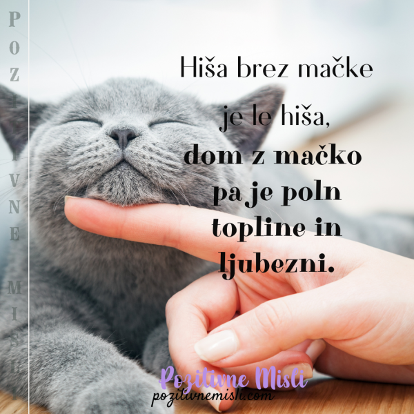 Hiša brez mačke je le hiša - Lepe misli o mačkah