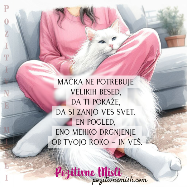 Mačka ne potrebuje velikih besed - Misli o mačkah