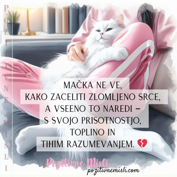 Mačka ne ve, kako zaceliti zlomljeno srce 💔