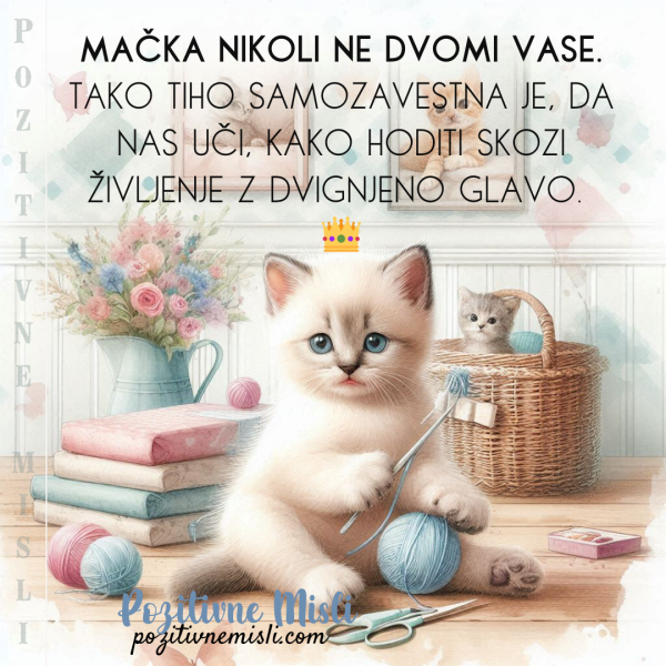 Mačka nikoli ne dvomi vase  🐾👑
