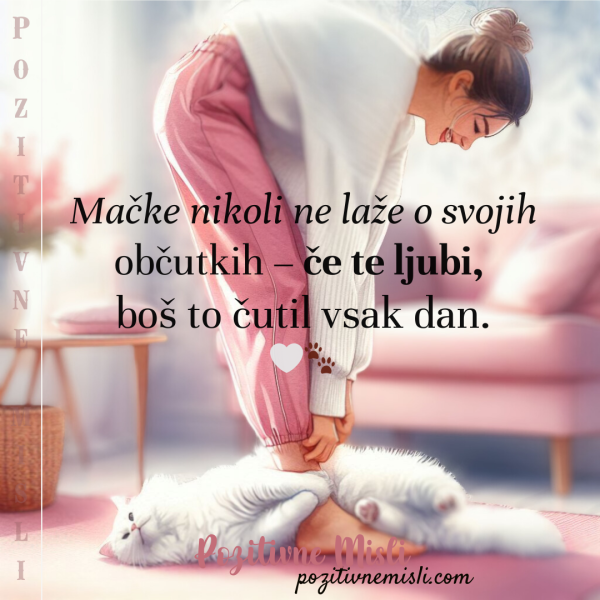 Mačka nikoli ne laže o svojih občutkih