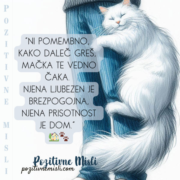 Ni pomembno, kako daleč greš, mačka