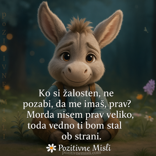 Ko si žalosten ne pozabi, da me imaš