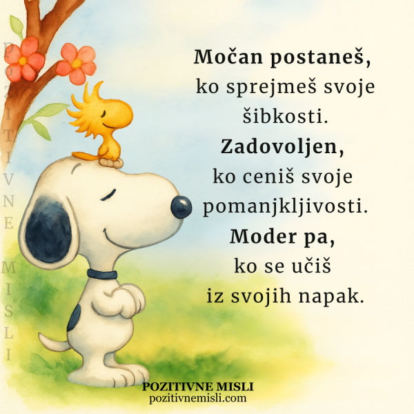 Močan postaneš, ko sprejmeš svoje šibkosti