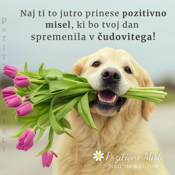 Dobro jutro ti želim! Naj ti to jutro
