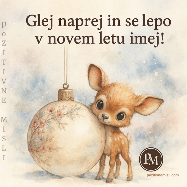 Glej naprej in se lepo - Misli za novo leto