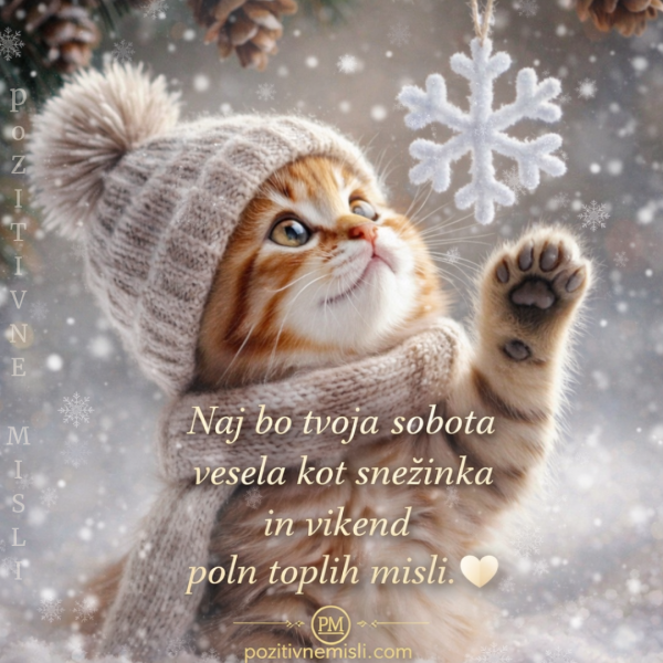 Naj bo tvoja sobota vesela kot snežinka