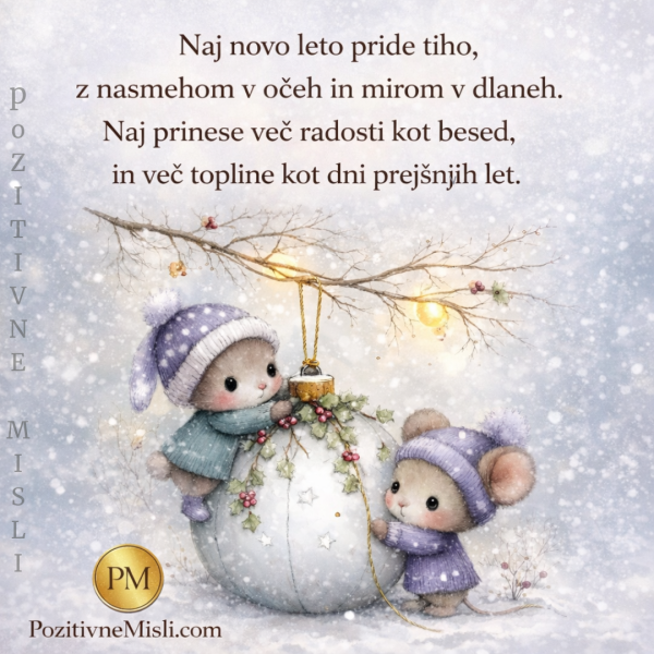 Naj novo leto pride tiho – misel o miru, toplini in radosti