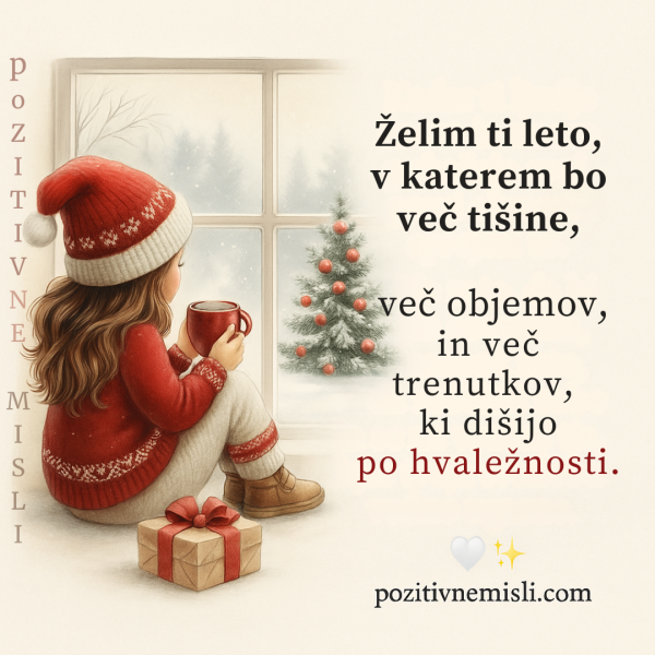 Želim ti leto, v katerem bo več tišine