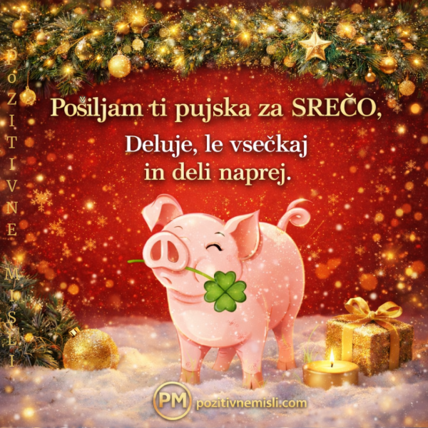 Pujsek sreče za srečno novo leto