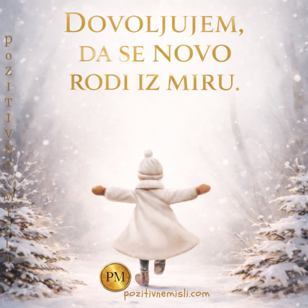 Dovoljujem da se novo  - srečno novo leto