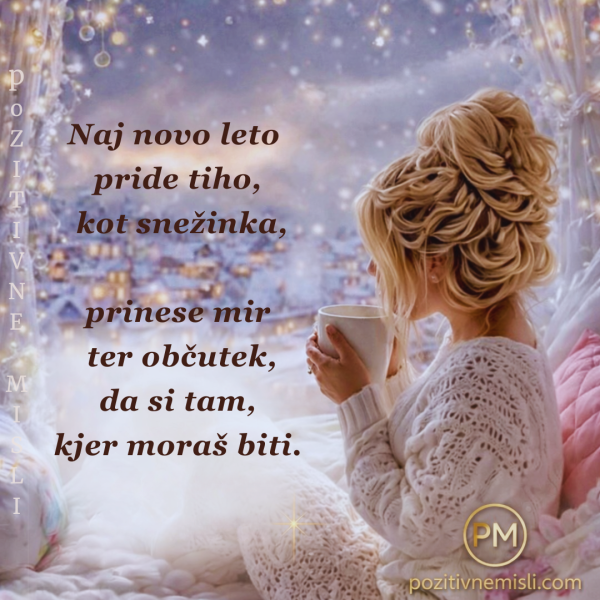 Naj novo leto pride tiho