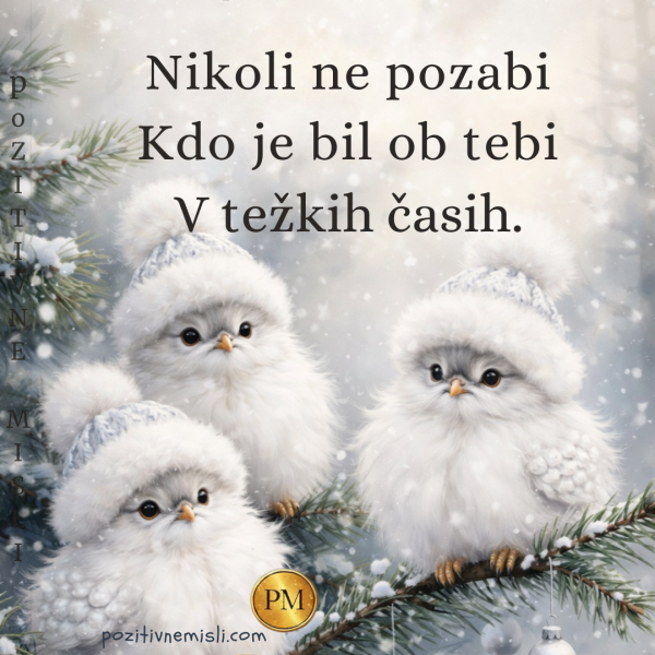 Nikoli ne pozabi težkih časov