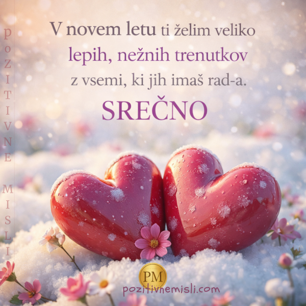 V novem letu ti želim veliko lepih trenutkov