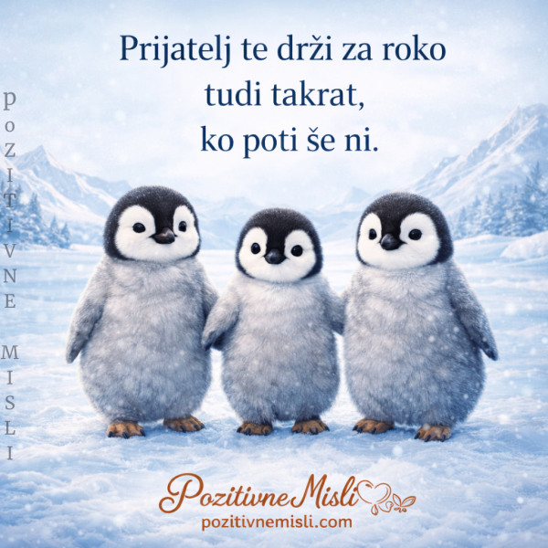 Prijatelj te drži za roko - Lepe misli