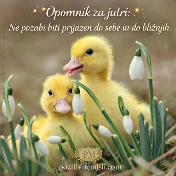 Opomnik za jutri – prijaznost