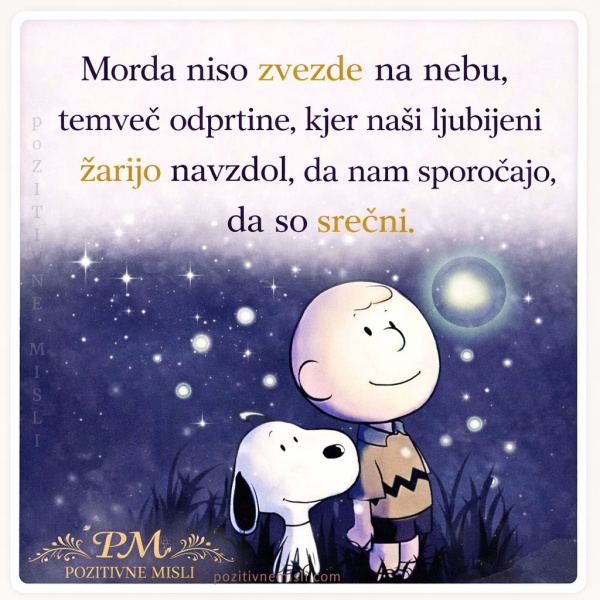 Morda niso zvezde na nebu